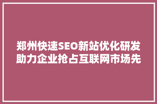郑州快速SEO新站优化研发助力企业抢占互联网市场先机