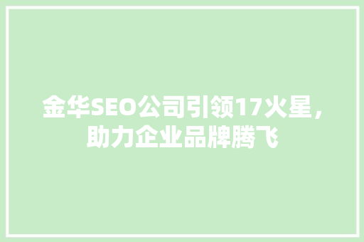 金华SEO公司引领17火星，助力企业品牌腾飞