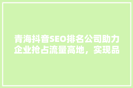 青海抖音SEO排名公司助力企业抢占流量高地，实现品牌价值最大化