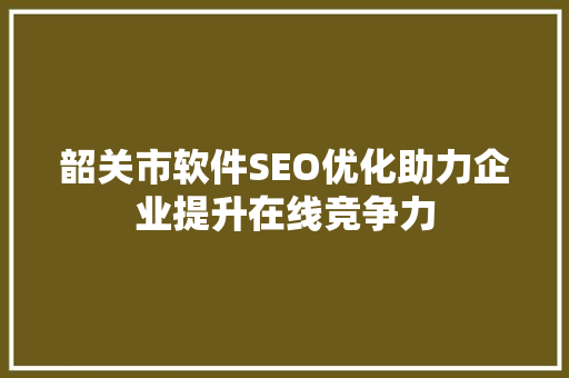 韶关市软件SEO优化助力企业提升在线竞争力