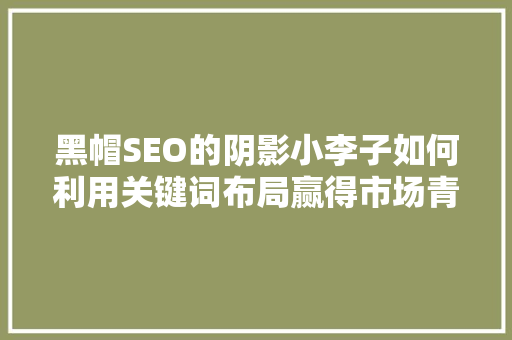 黑帽SEO的阴影小李子如何利用关键词布局赢得市场青睐  第1张