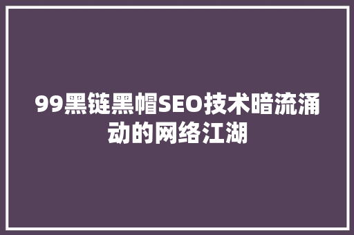 99黑链黑帽SEO技术暗流涌动的网络江湖  第1张