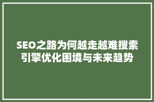 SEO之路为何越走越难搜索引擎优化困境与未来趋势