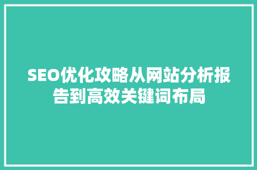 SEO优化攻略从网站分析报告到高效关键词布局