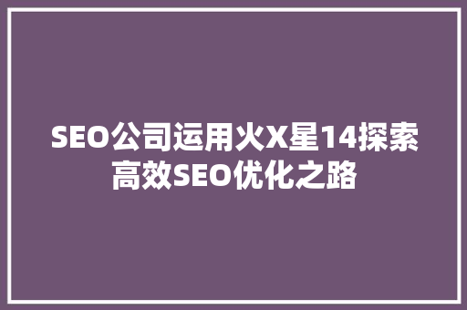SEO公司运用火X星14探索高效SEO优化之路