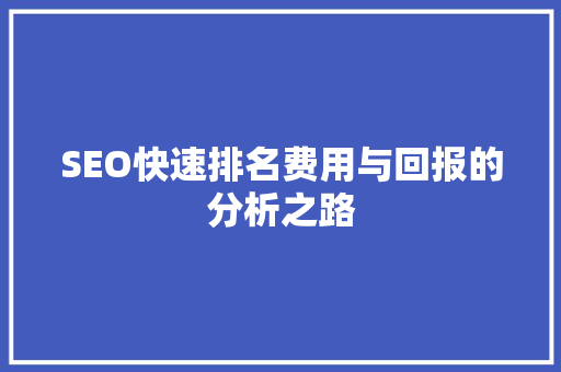 SEO快速排名费用与回报的分析之路