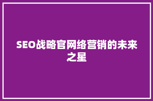 SEO战略官网络营销的未来之星
