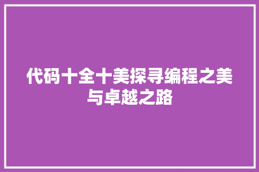 代码十全十美探寻编程之美与卓越之路
