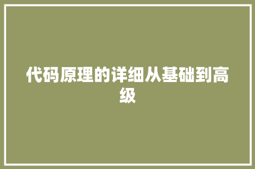代码原理的详细从基础到高级