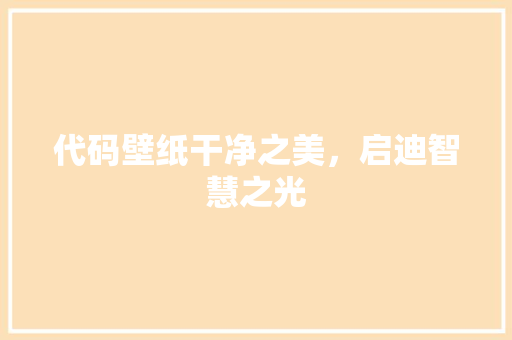 代码壁纸干净之美，启迪智慧之光