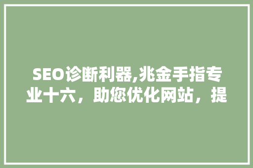 SEO诊断利器,兆金手指专业十六，助您优化网站，提升排名
