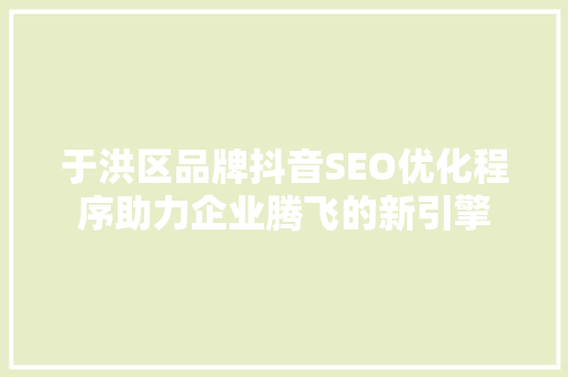于洪区品牌抖音SEO优化程序助力企业腾飞的新引擎