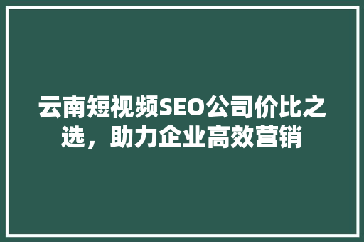云南短视频SEO公司价比之选，助力企业高效营销