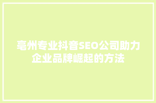 亳州专业抖音SEO公司助力企业品牌崛起的方法