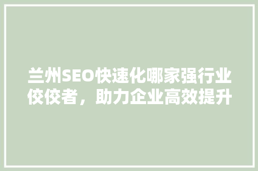 兰州SEO快速化哪家强行业佼佼者，助力企业高效提升排名