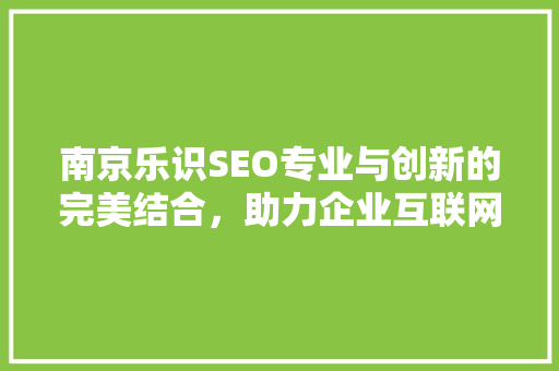 南京乐识SEO专业与创新的完美结合，助力企业互联网营销新高度