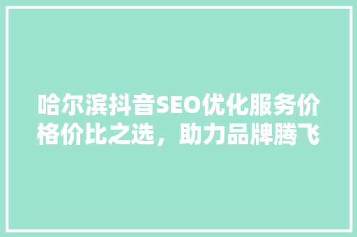 哈尔滨抖音SEO优化服务价格价比之选，助力品牌腾飞