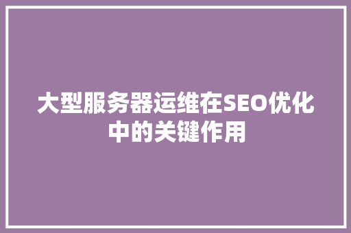 大型服务器运维在SEO优化中的关键作用