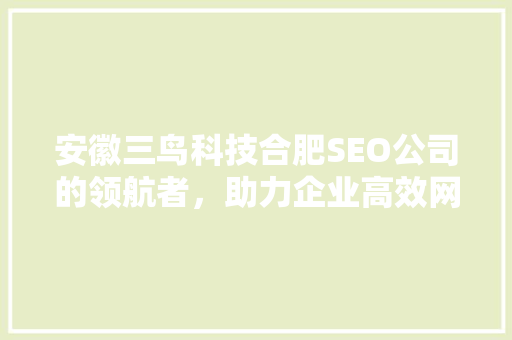 安徽三鸟科技合肥SEO公司的领航者，助力企业高效网络营销