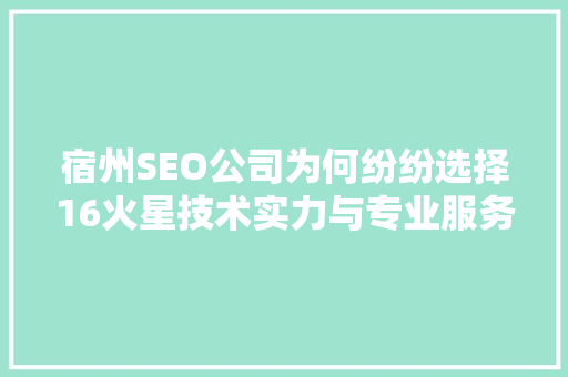 宿州SEO公司为何纷纷选择16火星技术实力与专业服务的完美结合
