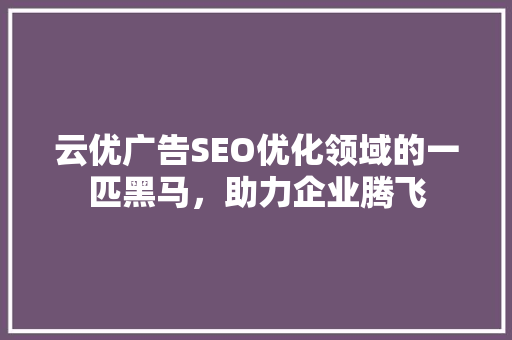云优广告SEO优化领域的一匹黑马，助力企业腾飞