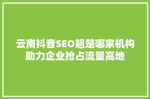云南抖音SEO翘楚哪家机构助力企业抢占流量高地
