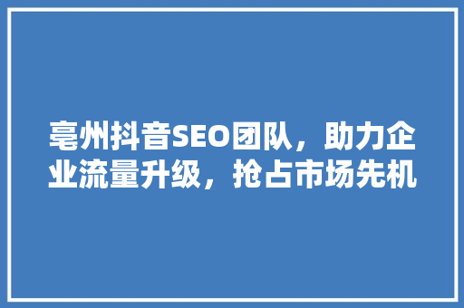 亳州抖音SEO团队，助力企业流量升级，抢占市场先机