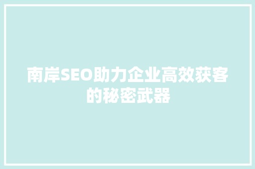 南岸SEO助力企业高效获客的秘密武器