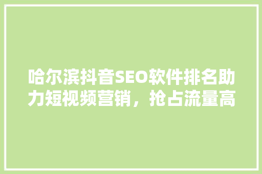 哈尔滨抖音SEO软件排名助力短视频营销，抢占流量高地