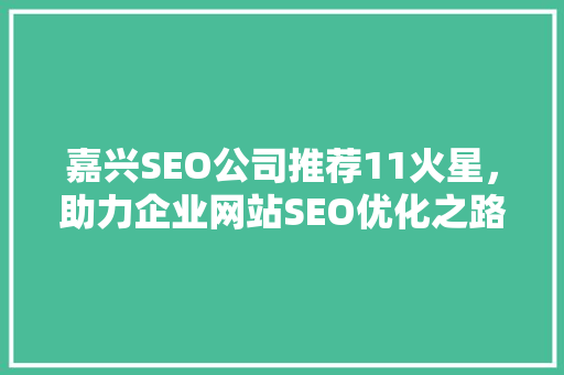 嘉兴SEO公司推荐11火星，助力企业网站SEO优化之路