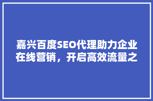 嘉兴百度SEO代理助力企业在线营销，开启高效流量之路