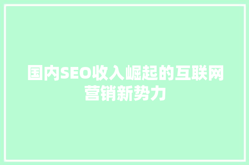 国内SEO收入崛起的互联网营销新势力
