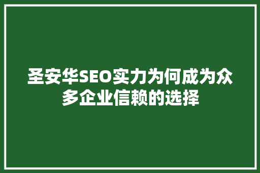 圣安华SEO实力为何成为众多企业信赖的选择