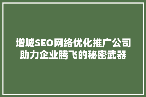 增城SEO网络优化推广公司助力企业腾飞的秘密武器  第1张