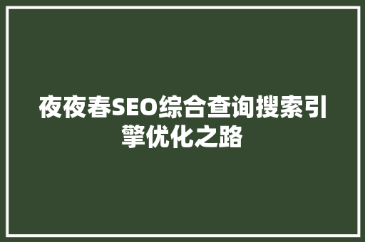 夜夜春SEO综合查询搜索引擎优化之路
