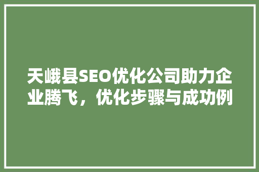 天峨县SEO优化公司助力企业腾飞，优化步骤与成功例子