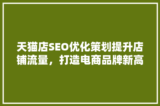 天猫店SEO优化策划提升店铺流量，打造电商品牌新高度