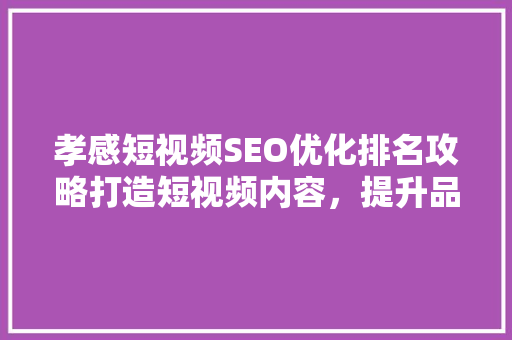 孝感短视频SEO优化排名攻略打造短视频内容，提升品牌影响力