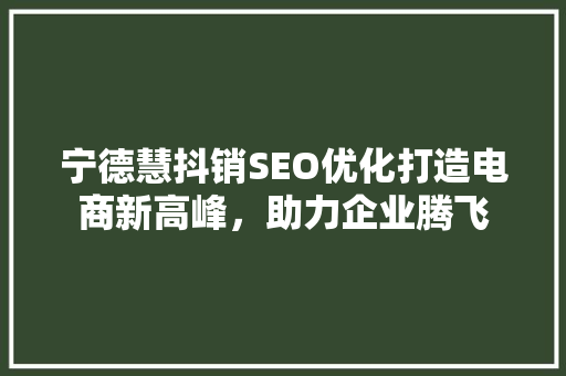 宁德慧抖销SEO优化打造电商新高峰，助力企业腾飞