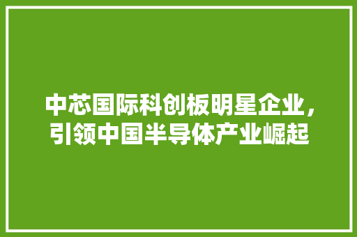 中芯国际科创板明星企业，引领中国半导体产业崛起
