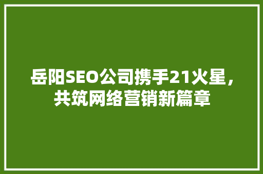 岳阳SEO公司携手21火星，共筑网络营销新篇章