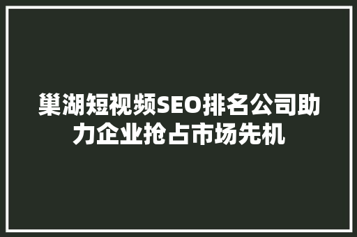 巢湖短视频SEO排名公司助力企业抢占市场先机