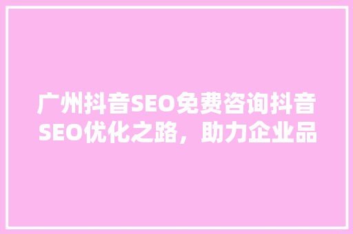 广州抖音SEO免费咨询抖音SEO优化之路，助力企业品牌腾飞