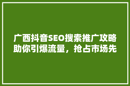 广西抖音SEO搜索推广攻略助你引爆流量，抢占市场先机  第1张