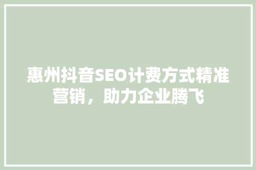惠州抖音SEO计费方式精准营销，助力企业腾飞