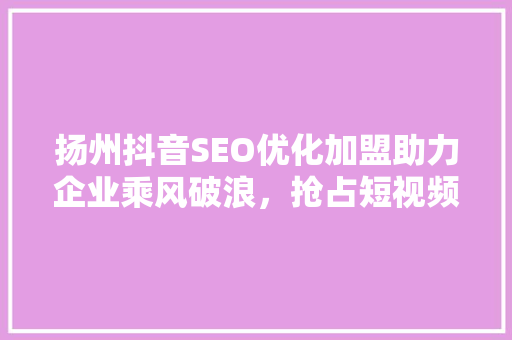 扬州抖音SEO优化加盟助力企业乘风破浪，抢占短视频营销新高地