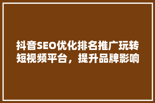 抖音SEO优化排名推广玩转短视频平台，提升品牌影响力