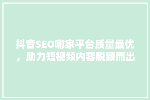 抖音SEO哪家平台质量最优，助力短视频内容脱颖而出