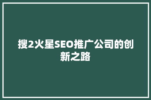 搜2火星SEO推广公司的创新之路