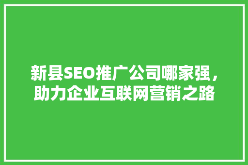 新县SEO推广公司哪家强，助力企业互联网营销之路